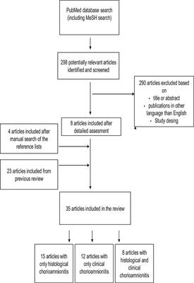 Prenatal Risk Factors for Adverse Developmental Outcome in Preterm Infants—Systematic Review